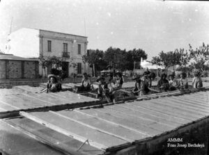 Dones i homes cuidant els planters a Malgrat de Mar, segurament abans del 1936