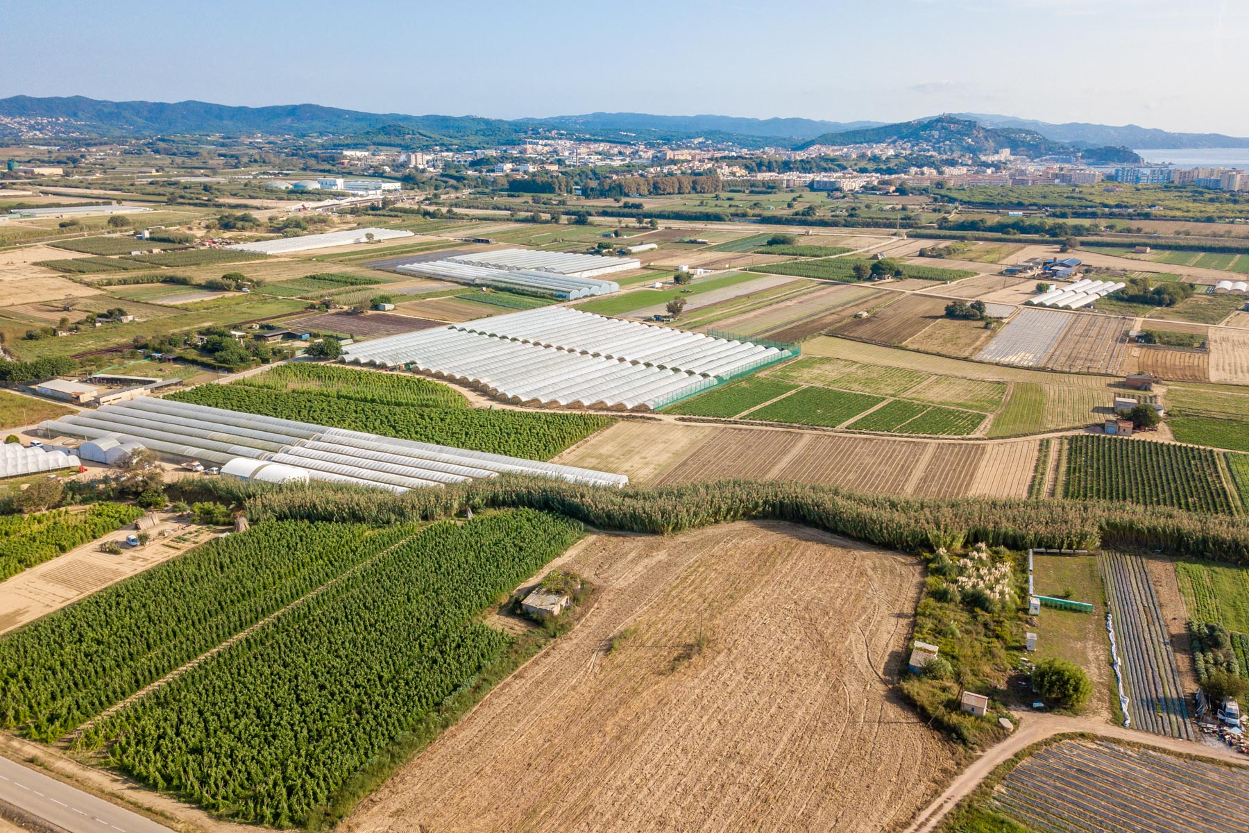Vista Aérea Del Pla De Grau